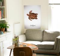 Schildpad poster aquarel