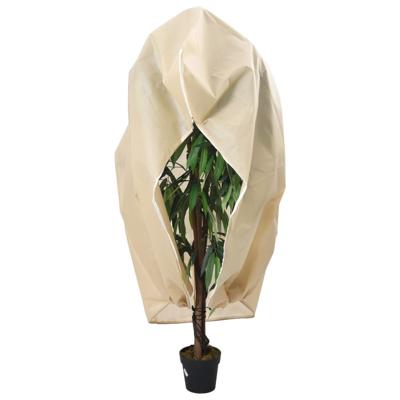 VidaXL Plantenhoezen met ritssluiting 2 st 70 g/m² 1x1,55 m