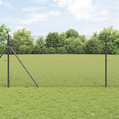 Gelaste draadhek Grijs 1.2 x 50 m Staal