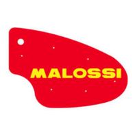 Luchtfilter Malossi Malaguti F15