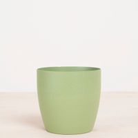 Oslo Groen - P12