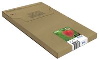 Epson Strawberry Multipack 4-colours 29XL EasyMail - thumbnail