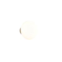 Trio WandlampEarl wit glas oplaadbaar - R27771101