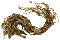 Bonsai Wave Large aquaria - Superfish