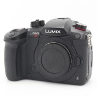 Panasonic Lumix DC-GH5S body occasion