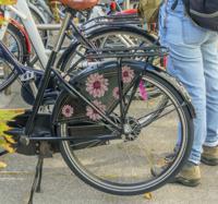Fiets sticker roze dahlia bloemen