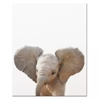 Poster - Olifant