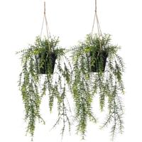 Emerald kunstplant/hangplant in pot - 2x - Asparagus - groen - 50 cm lang