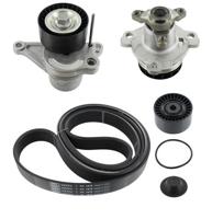 Waterpomp + Multi V-riemset SKF, u.a. für Opel, Renault, Nissan, Vauxhall