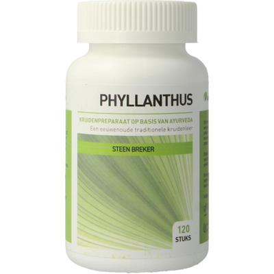 Ayurveda Health phyllanthus niruri