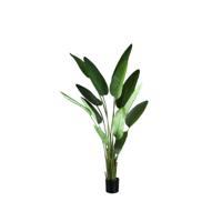 Kunstplant Groen Strelitzia L