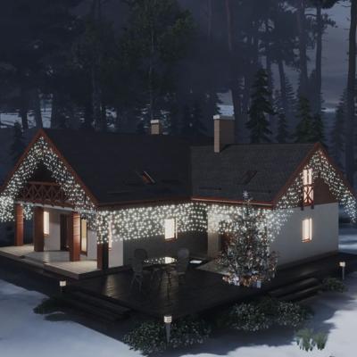 VidaXL Lichtgordijn met 400 led&apos;s en 8 functies 10 m koudwit