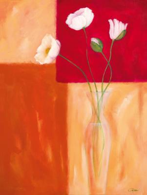 Kunstdruk Günter Gohn - Mohn mit Siena-Braun 60x80cm