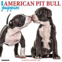 American Pit Bull Terrier Puppies Kalender 2026