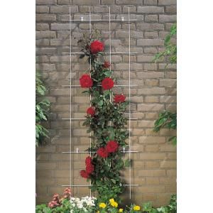 Metalen klimrek rechthoekig grijs - 150 x 60 cm (4 verticalen)