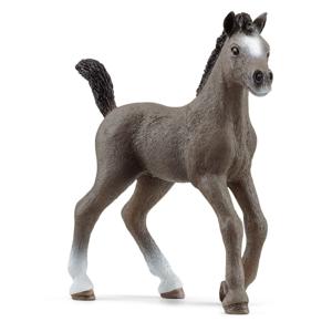 schleich HORSE CLUB Selle Français-veulen - 13957