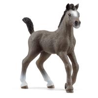 schleich HORSE CLUB Selle Français-veulen - 13957 - thumbnail