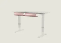 Desktronic Kabelgoot Zachtroze