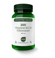 250 Vitamine B12 & foliumzuur
