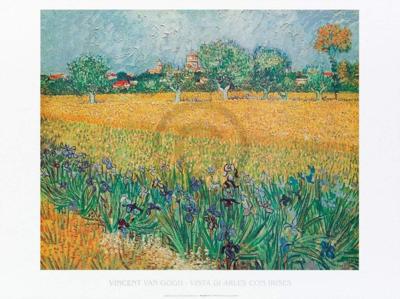 Kunstdruk Vincent Van Gogh - Vista di Arles Con Irises 80x60cm