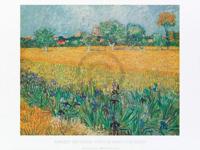 Kunstdruk Vincent Van Gogh - Vista di Arles Con Irises 80x60cm