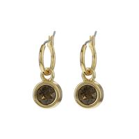 Biba Hang Oorbellen met Swarovski Steentje Sm. Quartz Goud Biba Hang Oorbellen met Swarovski Steentje Sm. Quartz Goud