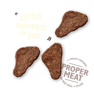 Lily's Kitchen The Mighty Duck Mini Jerky Hond Snack Eend 70 g