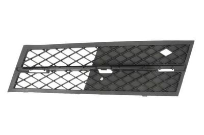 Ventilatiegrille, bumper 6502070067917P