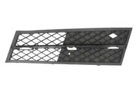 Ventilatiegrille, bumper 6502070067917P