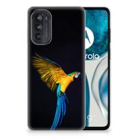Motorola Moto G52/G82 | TPU Hoesje | Papegaai