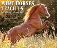 What Horses Teach Us Scheurkalender 2026 Boxed
