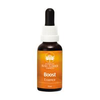 Boost essence