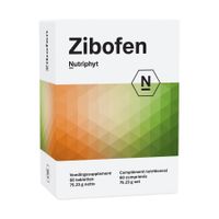 Zibofen 60 tab 6x10 blisters