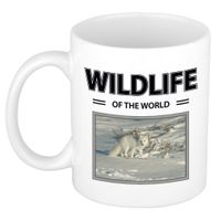 Sneeuwvos mok met dieren foto wildlife of the world - thumbnail