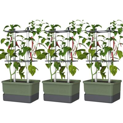 Gusta Garden CHARLY CHILI 3er-Set dunkelgrün / W07077 Plantcontainer