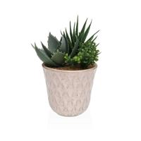 Decoratieve plant Versa Keramisch Plastic Fusion Vetplant 7,8 X 14 X 7,8 CM