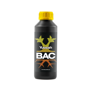 BAC BAC Yuccah
