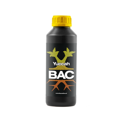 BAC BAC Yuccah