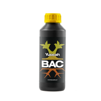BAC BAC Yuccah