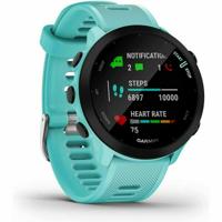 Smartwatch GARMIN 010-02562-12 Blauw