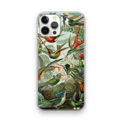 Haeckel Trochilidae: iPhone 12 Pro Transparant Hoesje