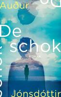 De schok - Auður Jónsdóttir - ebook