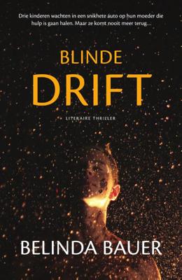 Blinde drift (Paperback)