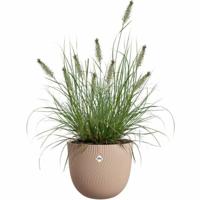 Bloempot Elho Bruin 30 x 29,5 x 25 cm