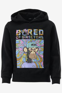Name it hoodie sergio bordofd maat 176/16J