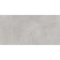 Indeed Silver 30x60 rett