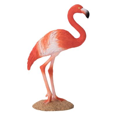 Mojo wildlife amerikaanse 387134
