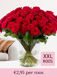 Rode rozen - Kies je aantal (Red Naomi) - 10 t/m 99 rozen - XXL rozen 65 cm
