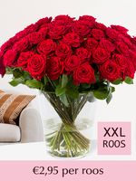 Rode rozen - Kies je aantal (Red Naomi) - 10 t/m 99 rozen - XXL rozen 65 cm