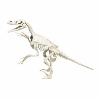 Clementoni Archeospel Velociraptor - thumbnail